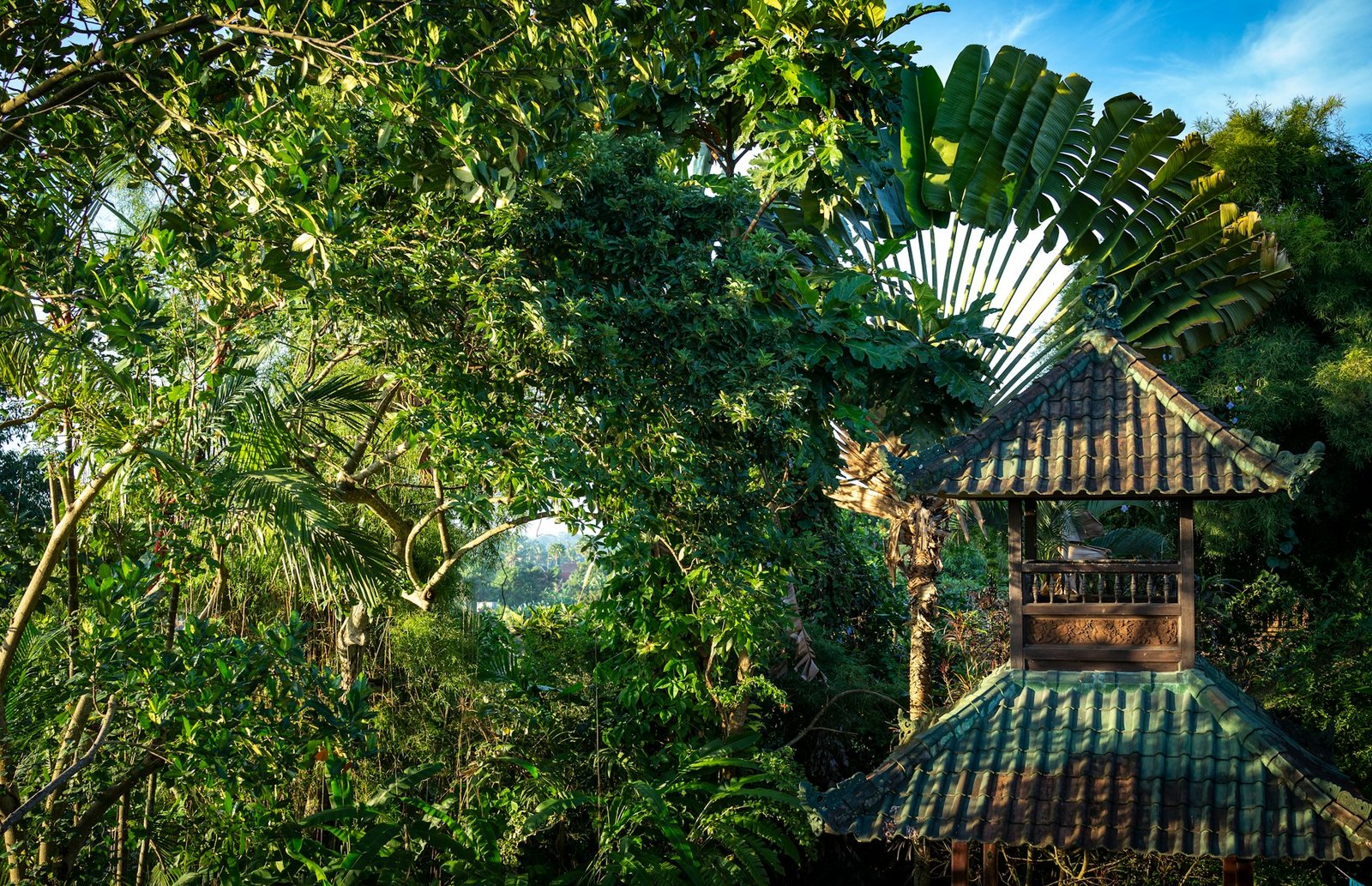 niklas-weiss-Tnb86KbM4iw-unsplash